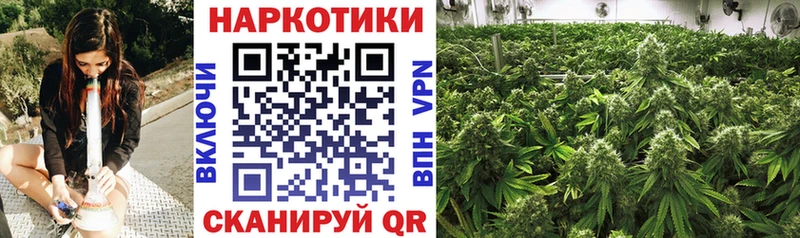 Купить наркотики Высоцк Альфа ПВП  Псилоцибиновые грибы  COCAIN  Бошки Шишки  Амфетамин 