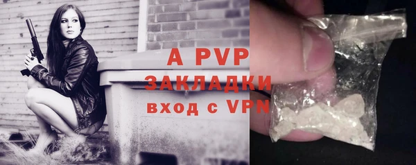 a pvp Богданович
