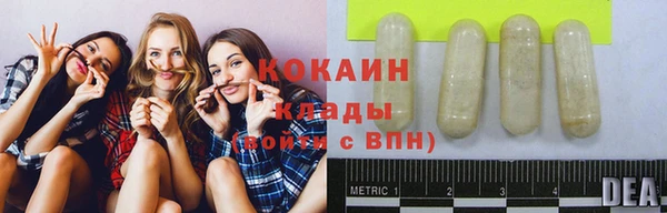 mdpv Богородицк