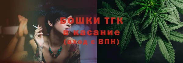спиды Богородск