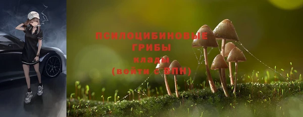 не бодяженный Беломорск