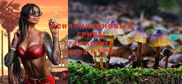 mdpv Богородицк