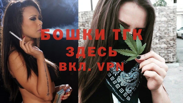 mdpv Богородицк