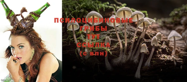 a pvp Богданович