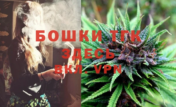 мдпв Белокуриха